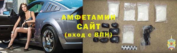 прущие грибы Абаза