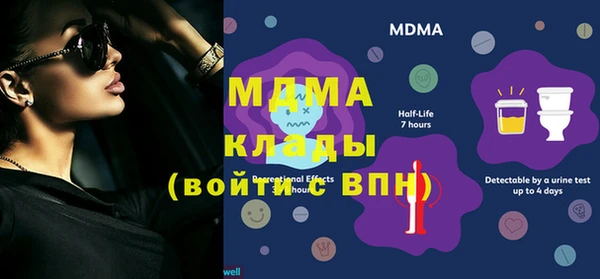 прущие грибы Абаза
