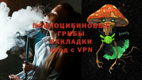 прущие грибы Абаза