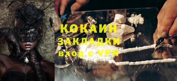 прущие грибы Абаза