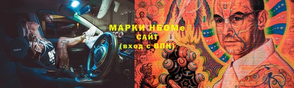 прущие грибы Абаза