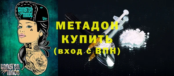 прущие грибы Абаза